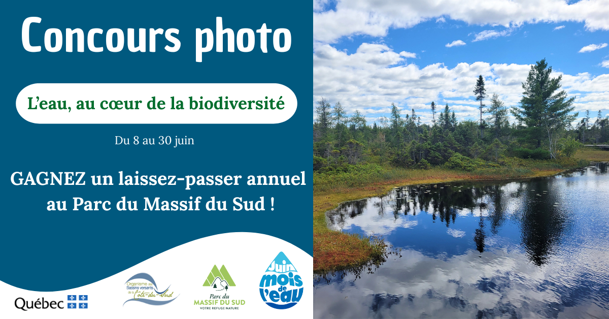 Concours photo(1)